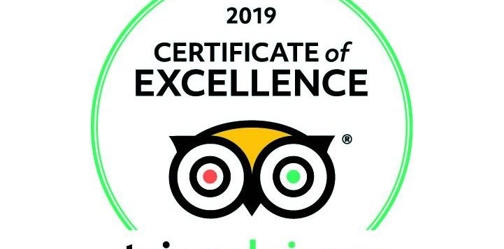 2019_coe_logos_white-bkg_cmyk_translations_en-us-uk-2x-100-2